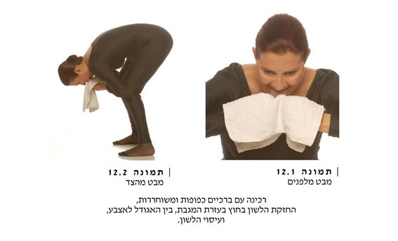 תמונה צרידות